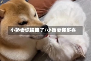 小娇妻你被捕了/小娇妻你多喜