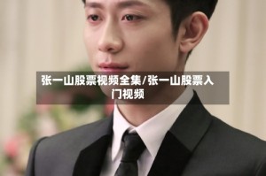 张一山股票视频全集/张一山股票入门视频