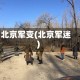 北京军变(北京军迷)