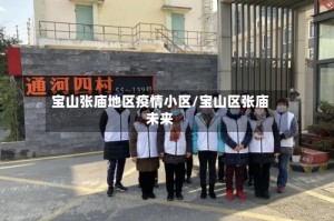 宝山张庙地区疫情小区/宝山区张庙未来