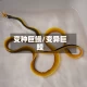 变种巨鳗/变异巨鳗