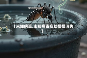 【未知病毒,未知病毒症状慢慢消失】