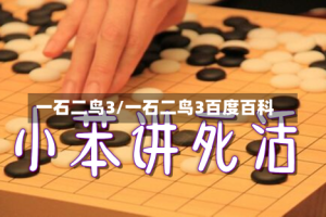 一石二鸟3/一石二鸟3百度百科