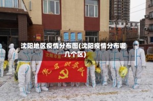 沈阳地区疫情分布图(沈阳疫情分布哪几个区)
