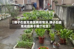 【弹子石盘龙地区有疫情没,弹子石盘龙花园属于哪个社区】