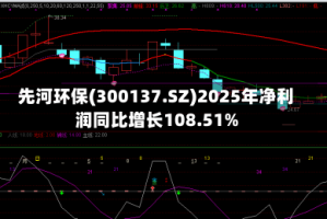 先河环保(300137.SZ)2025年净利润同比增长108.51%