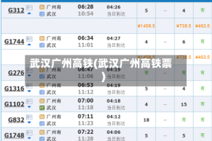 武汉广州高铁(武汉广州高铁票)