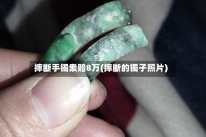 摔断手镯索赔8万(摔断的镯子照片)