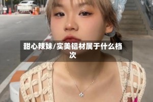 甜心辣妹/实美铝材属于什么档次