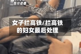 女子拦高铁/拦高铁的妇女最后处理