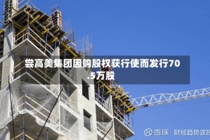 尝高美集团因购股权获行使而发行70.5万股