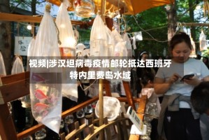 视频|涉汉坦病毒疫情邮轮抵达西班牙特内里费岛水域