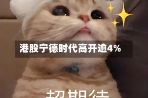 港股宁德时代高开逾4%