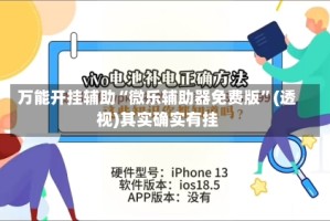 万能开挂辅助“微乐辅助器免费版”(透视)其实确实有挂