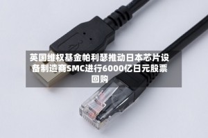 英国维权基金帕利瑟推动日本芯片设备制造商SMC进行6000亿日元股票回购