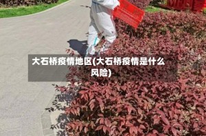 大石桥疫情地区(大石桥疫情是什么风险)