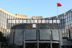 印建军获批出任南京银行业务总监