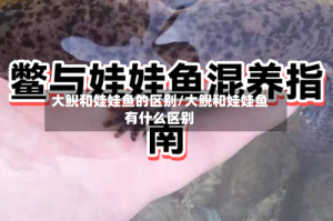 大鲵和娃娃鱼的区别/大鲵和娃娃鱼有什么区别