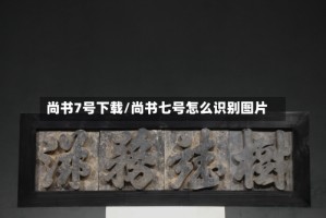 尚书7号下载/尚书七号怎么识别图片