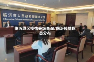 临沂地区疫情等级查询/临沂疫情区县分布