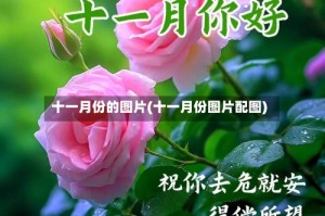 十一月份的图片(十一月份图片配图)