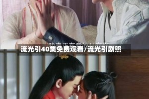 流光引40集免费观看/流光引剧照