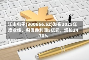 江丰电子(300666.SZ)发布2025年度业绩，归母净利润5亿元，增长24.70%