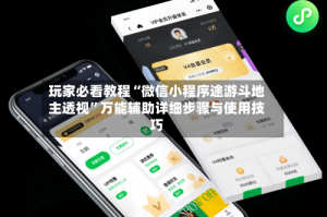 玩家必看教程“微信小程序途游斗地主透视”万能辅助详细步骤与使用技巧