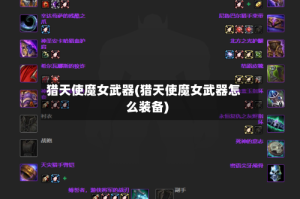 猎天使魔女武器(猎天使魔女武器怎么装备)