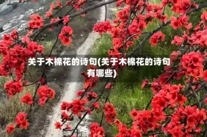 关于木棉花的诗句(关于木棉花的诗句有哪些)