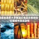 印度拟调整大宗商品衍生品交易规则，以提振市场流动性