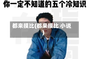 都来摸比(都来摸比 小说)