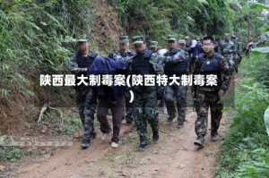 陕西最大制毒案(陕西特大制毒案)