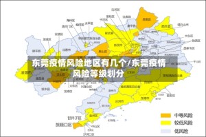 东莞疫情风险地区有几个/东莞疫情风险等级划分