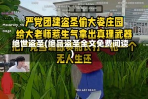 绝世盗圣(绝品盗圣全文免费阅读)