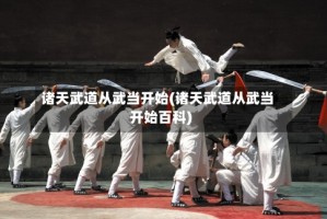 诸天武道从武当开始(诸天武道从武当开始百科)