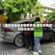 【肇庆地区疫情图表查询,肇庆疫情实时动态查询】