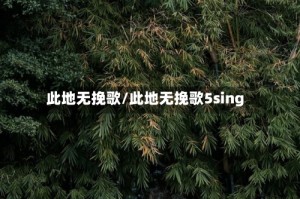 此地无挽歌/此地无挽歌5sing