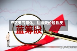 产区天气恶化，助推麦价超跌反弹