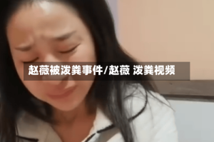 赵薇被泼粪事件/赵薇 泼粪视频