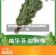 越牛新闻app官方下载(越牛新闻网页版)