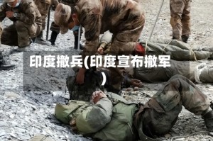 印度撤兵(印度宣布撤军)