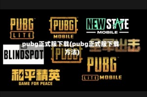 pubg正式服下载(pubg正式服下载方法)
