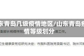 山东青岛几级疫情地区/山东青岛疫情等级划分