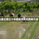 夫妻之间三十中插秧方法的简单介绍