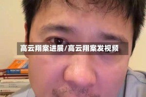 高云翔案进展/高云翔案发视频