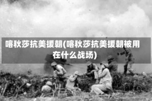 喀秋莎抗美援朝(喀秋莎抗美援朝被用在什么战场)