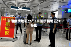 阜阳疫情地区分布/阜阳疫情地区分布图