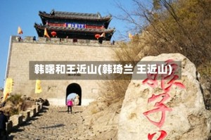 韩曙和王近山(韩琦兰 王近山)