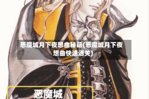 恶魔城月下夜想曲秘籍(恶魔城月下夜想曲快速通关)